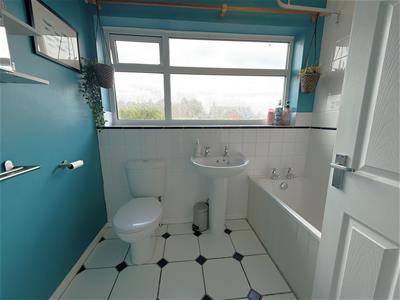Picture 20